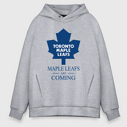 Толстовка оверсайз мужская Toronto Maple Leafs are coming Торонто Мейпл Лифс, цвет: меланж