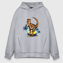 Толстовка оверсайз мужская TYRANNOSAURUS IN PURSUIT, цвет: меланж
