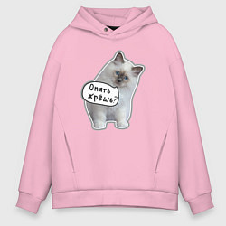 Толстовка оверсайз мужская Опять жрешь, цвет: светло-розовый