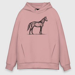 Толстовка оверсайз мужская Лошадь в профиль, цвет: пыльно-розовый