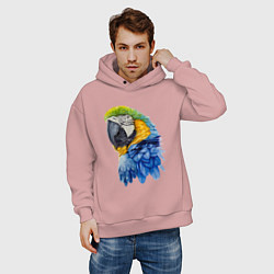 Толстовка оверсайз мужская Сине-золотой попугай ара, цвет: пыльно-розовый — фото 2