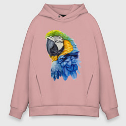 Толстовка оверсайз мужская Сине-золотой попугай ара, цвет: пыльно-розовый