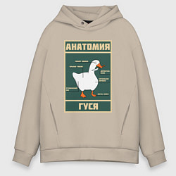 Толстовка оверсайз мужская Анатомия гуся, цвет: миндальный