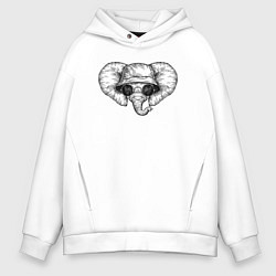 Толстовка оверсайз мужская Слоненок в панаме и очках, цвет: белый