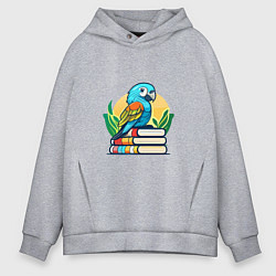 Толстовка оверсайз мужская Попугай на стопке книг, цвет: меланж
