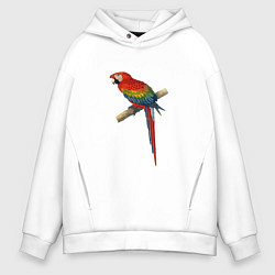 Толстовка оверсайз мужская Попугай ara macaw, цвет: белый