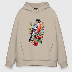 Толстовка оверсайз мужская Снегирь не ветке красной рябины, цвет: миндальный