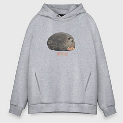 Толстовка оверсайз мужская Милый толстый тюлень из мема штош, цвет: меланж