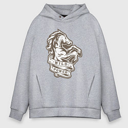 Толстовка оверсайз мужская Конь - дикая энергия, цвет: меланж