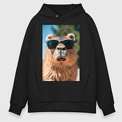 Толстовка оверсайз мужская Модная капибара в очках, цвет: черный