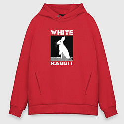 Толстовка оверсайз мужская White rabbit, цвет: красный