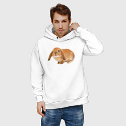 Толстовка оверсайз мужская Рыжий пушистый кролик, цвет: белый — фото 2