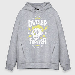 Толстовка оверсайз мужская Dweller Forever, цвет: меланж