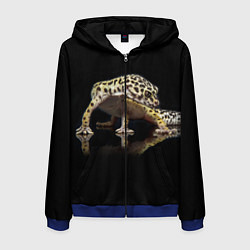 Толстовка 3D на молнии мужская ЭУБЛЕФАР EUBLEPHARIS, цвет: 3D-синий