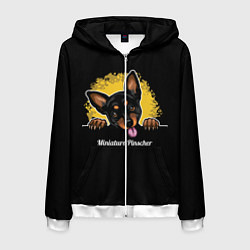 Толстовка 3D на молнии мужская Пинчер Miniature Pinscher, цвет: 3D-белый