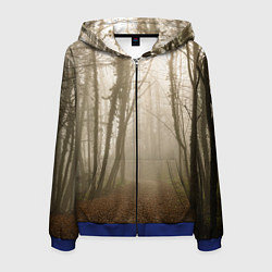 Толстовка 3D на молнии мужская Туманный лес на восходе, цвет: 3D-синий