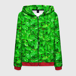 Толстовка 3D на молнии мужская Зелёные листья - текстура, цвет: 3D-красный