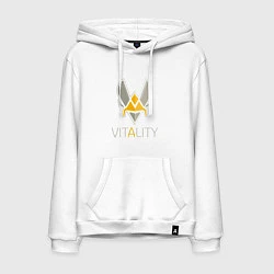 Толстовка-худи хлопковая мужская VITALITY Team: Esports, цвет: белый