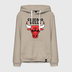 Мужская толстовка-худи Chicago Bulls