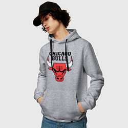 Толстовка-худи хлопковая мужская Chicago Bulls, цвет: меланж — фото 2