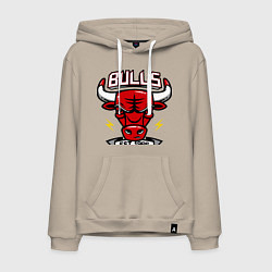 Мужская толстовка-худи Chicago Bulls est. 1966