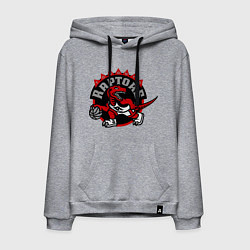 Толстовка-худи хлопковая мужская Toronto, цвет: меланж