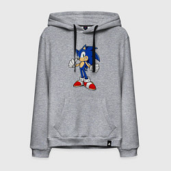 Толстовка-худи хлопковая мужская Sonic, цвет: меланж