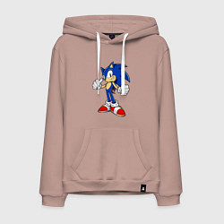 Толстовка-худи хлопковая мужская Sonic, цвет: пыльно-розовый