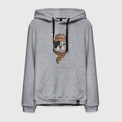 Толстовка-худи хлопковая мужская ФРАНЦУЗСКИЙ БУЛЬДОГ В ШАПКЕ, цвет: меланж