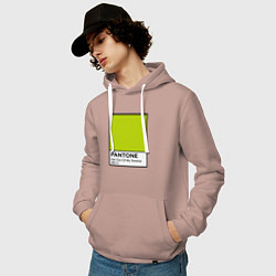 Толстовка-худи хлопковая мужская Shrek: Pantone Color, цвет: пыльно-розовый — фото 2