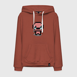 Толстовка-худи хлопковая мужская Pixel isaac, цвет: кирпичный