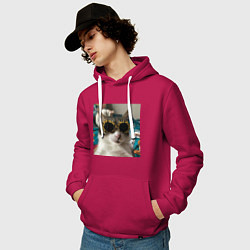 Толстовка-худи хлопковая мужская Мем про кота, цвет: маджента — фото 2