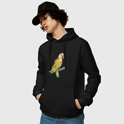 Толстовка-худи хлопковая мужская Любимый попугай, цвет: черный — фото 2