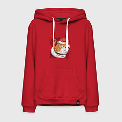 Толстовка-худи хлопковая мужская Christmas Cat, цвет: красный