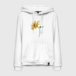 Толстовка-худи хлопковая мужская Branch With a Sunflower Подсолнух, цвет: белый