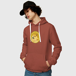 Толстовка-худи хлопковая мужская Иронизирующая монета с Доге, цвет: кирпичный — фото 2
