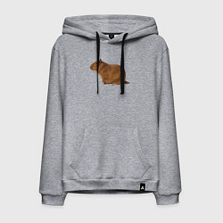 Толстовка-худи хлопковая мужская Капибара сидит и спит, цвет: меланж