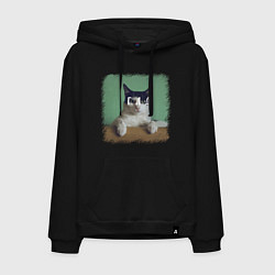 Толстовка-худи хлопковая мужская Мем - голодный кот, цвет: черный