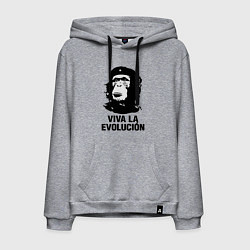 Толстовка-худи хлопковая мужская Да здравствует эволюция, цвет: меланж