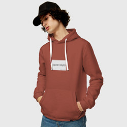 Толстовка-худи хлопковая мужская А худи надо?, цвет: кирпичный — фото 2