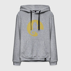 Толстовка-худи хлопковая мужская Тоторо в ночи, цвет: меланж