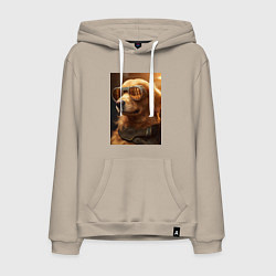 Толстовка-худи хлопковая мужская Золотистый ретривер в золотых очках, цвет: миндальный