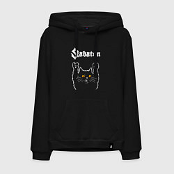 Мужская толстовка-худи Sabaton rock cat