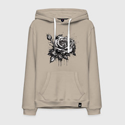 Толстовка-худи хлопковая мужская Роза нарисованная карандашом, цвет: миндальный