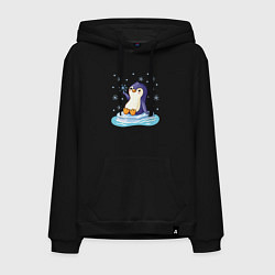 Толстовка-худи хлопковая мужская Пингвин на льдине, цвет: черный