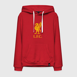 Толстовка-худи хлопковая мужская Liverpool sport fc, цвет: красный