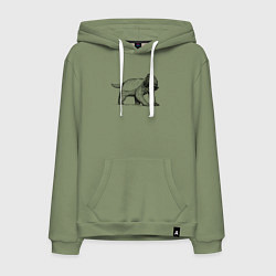 Толстовка-худи хлопковая мужская Медоед модный, цвет: авокадо