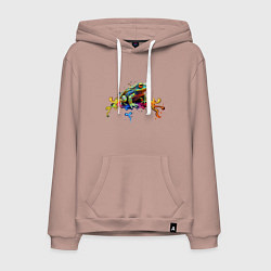 Толстовка-худи хлопковая мужская Фрактальная лягушка, цвет: пыльно-розовый
