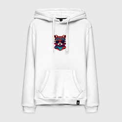 Толстовка-худи хлопковая мужская Стильный енот в солнечных очках, цвет: белый