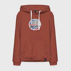 Толстовка-худи хлопковая мужская City Boston, цвет: кирпичный